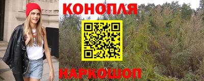 стаф Кунгур