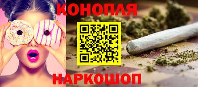 стаф Кунгур