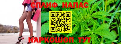 стаф Кунгур