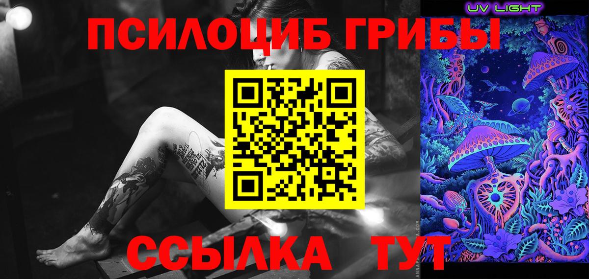 Галлюциногенные грибы Psilocybine cubensis  Вход с VPN  Кириши 